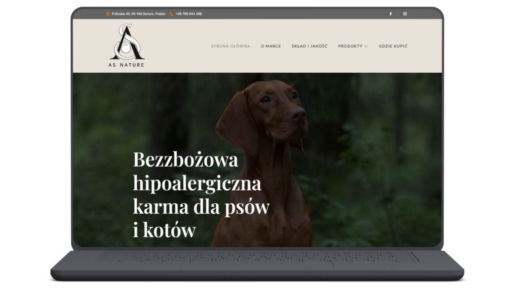 projekty stron internetowych,przykłady stron www,realizacje sklepów internetowych,przykładowe strony internetowe dla firm,realizacje stron internetowych - Projekt bez nazwy 1